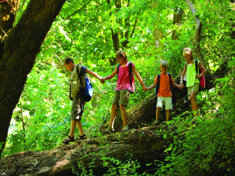 Rutas de senderismo para niños /tb_Ninos en una ruta de senderismo.jpg